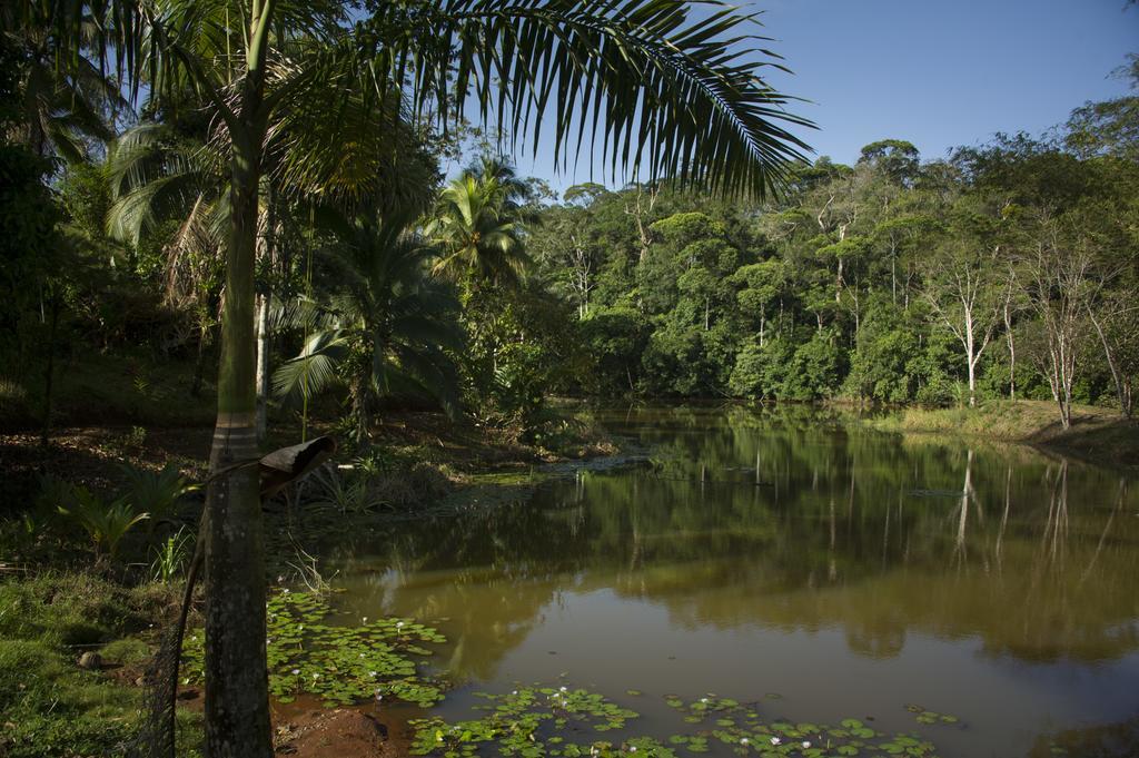 La Laguna Del Lagarto Eco-Lodge Pital  Bagian luar foto