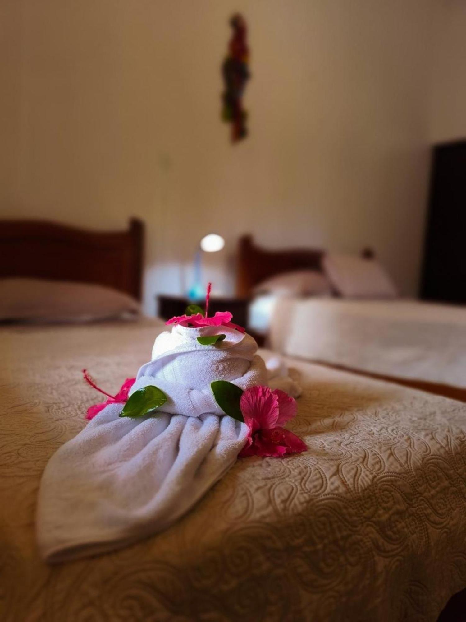 La Laguna Del Lagarto Eco-Lodge Pital  Bagian luar foto