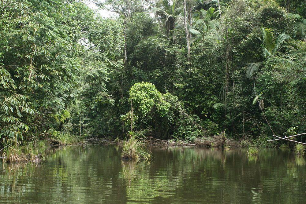 La Laguna Del Lagarto Eco-Lodge Pital  Bagian luar foto