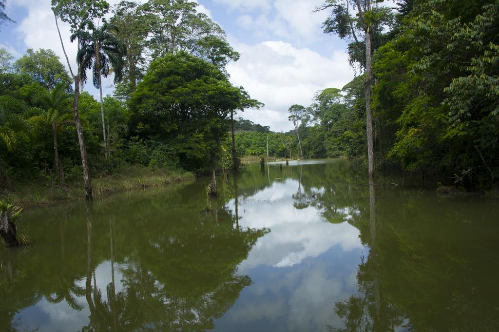 La Laguna Del Lagarto Eco-Lodge Pital  Bagian luar foto