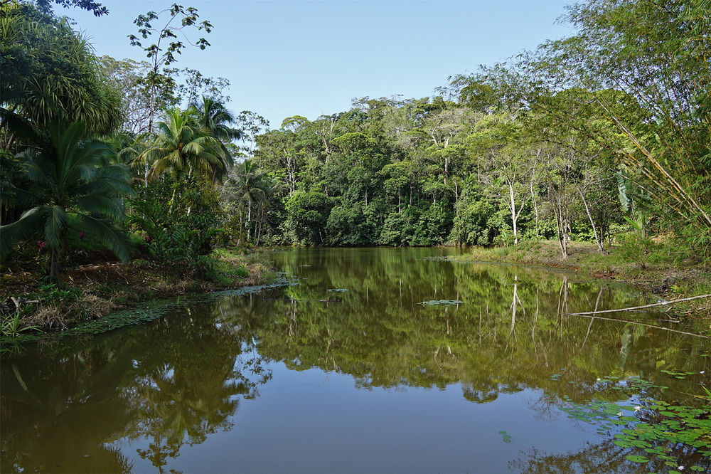 La Laguna Del Lagarto Eco-Lodge Pital  Bagian luar foto