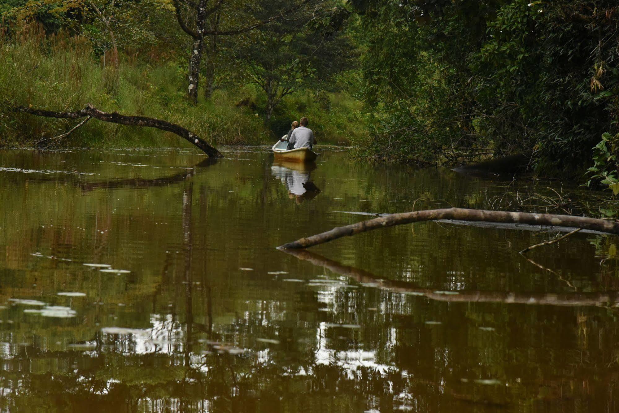La Laguna Del Lagarto Eco-Lodge Pital  Bagian luar foto