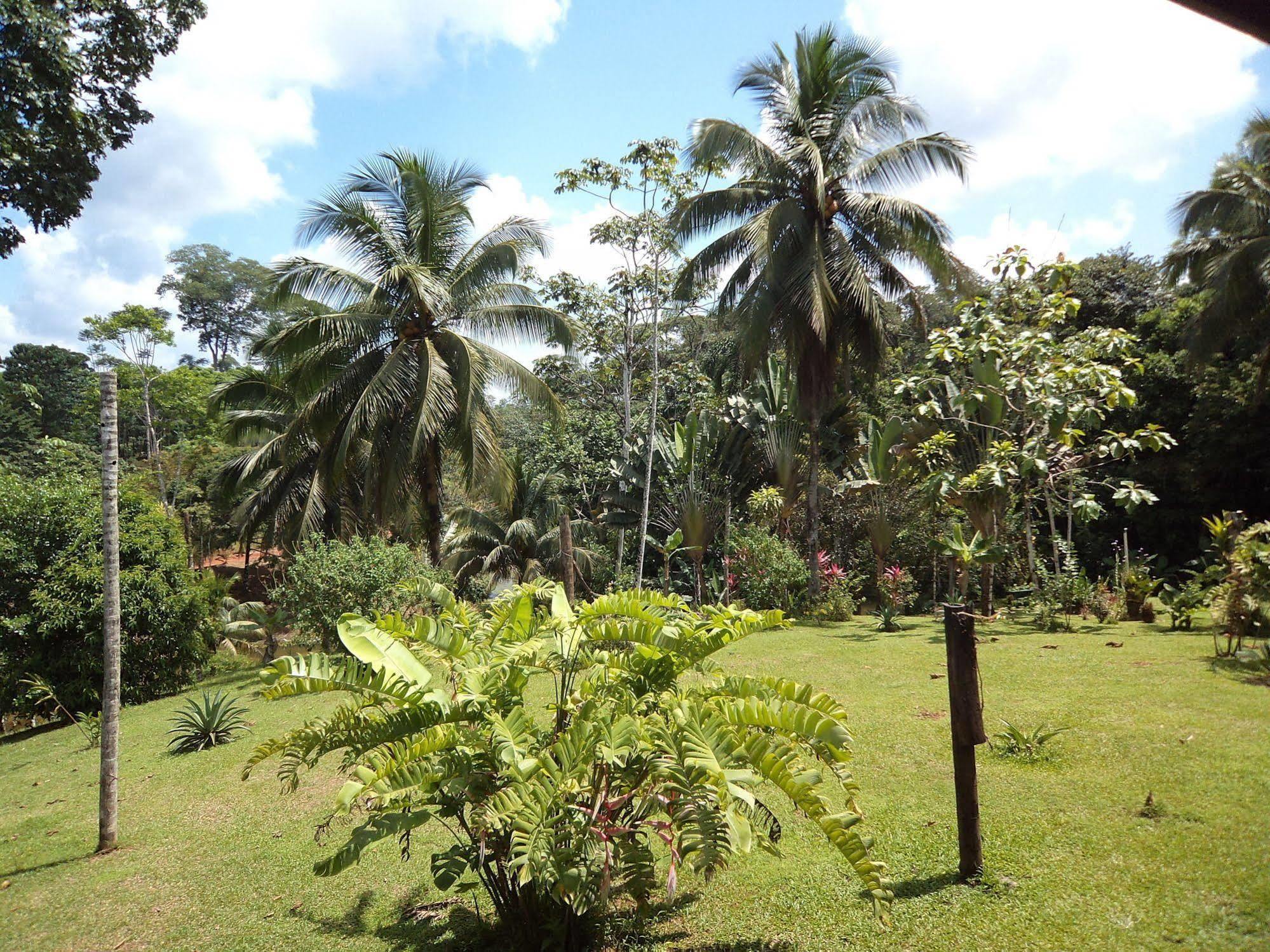 La Laguna Del Lagarto Eco-Lodge Pital  Bagian luar foto