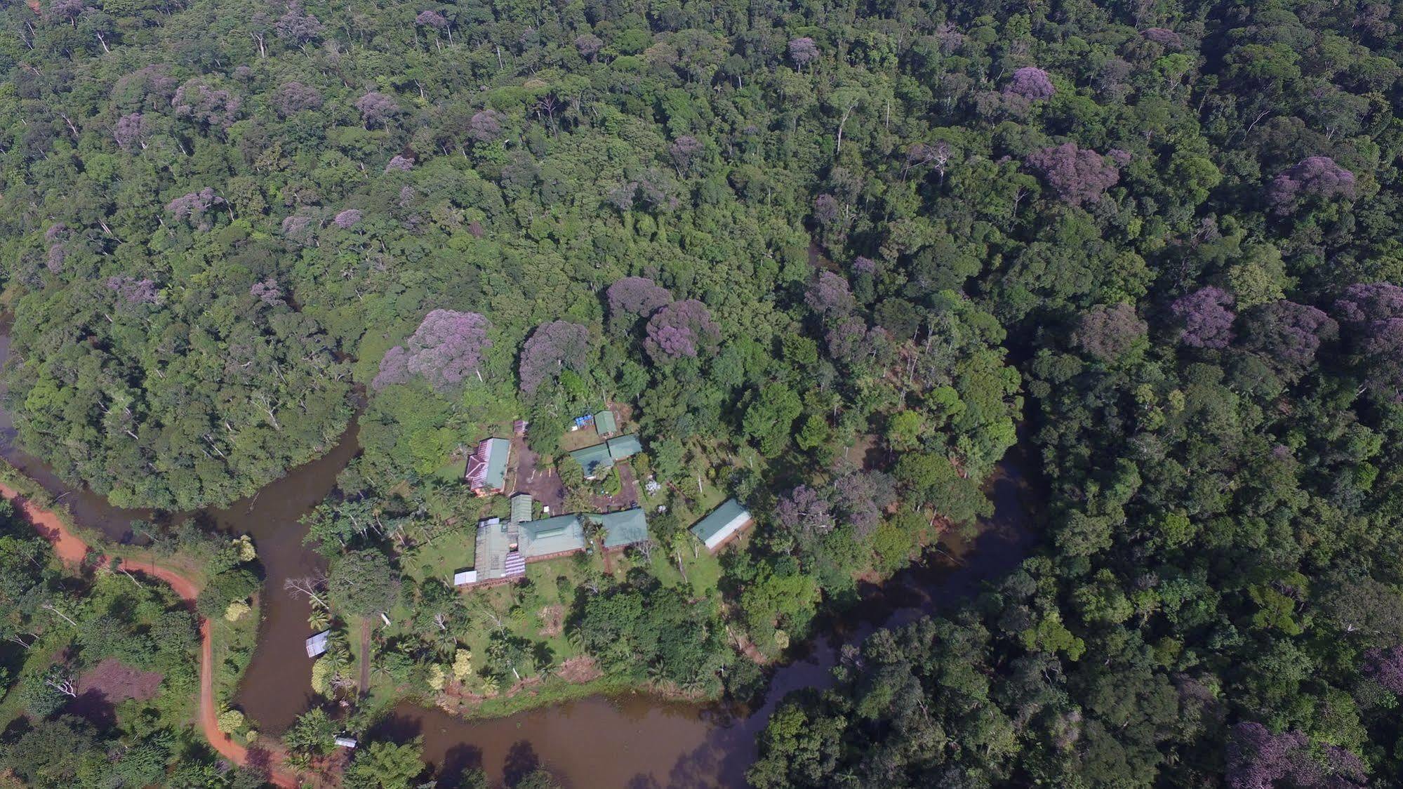 La Laguna Del Lagarto Eco-Lodge Pital  Bagian luar foto