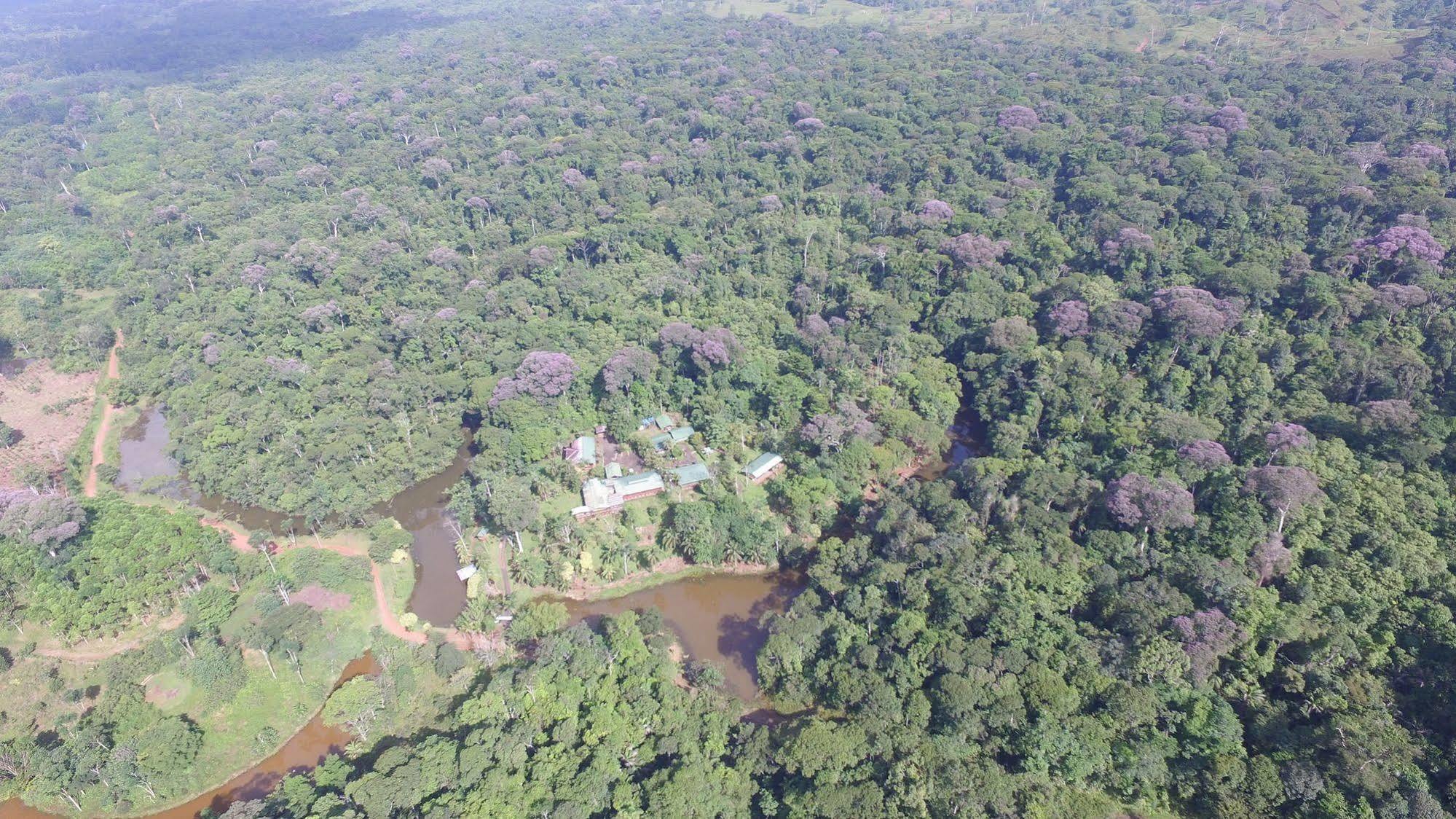 La Laguna Del Lagarto Eco-Lodge Pital  Bagian luar foto