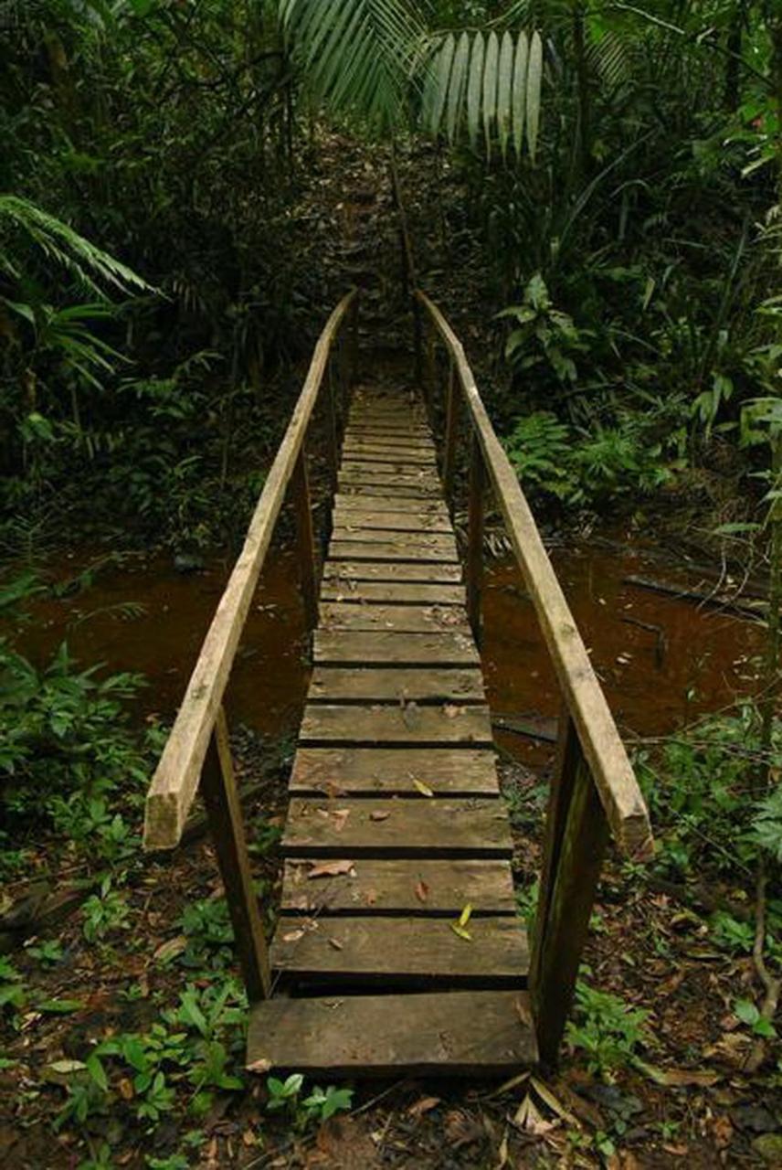 La Laguna Del Lagarto Eco-Lodge Pital  Bagian luar foto