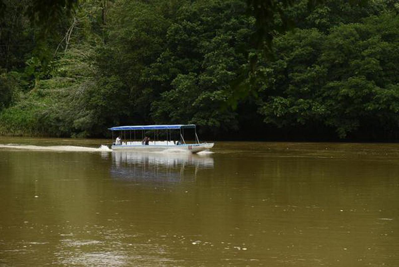La Laguna Del Lagarto Eco-Lodge Pital  Bagian luar foto